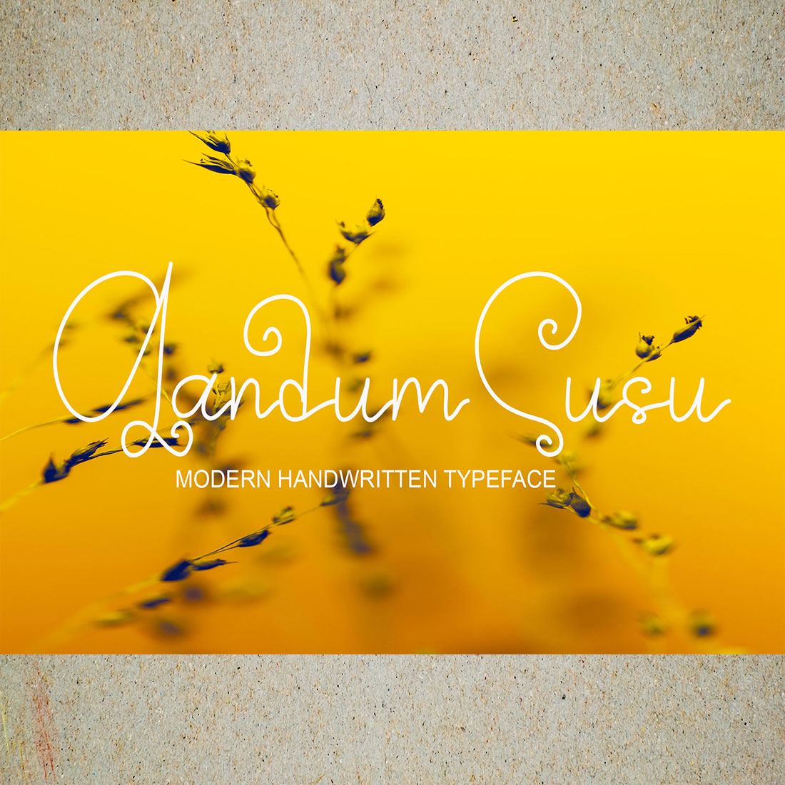 Anehya Script Signature Font yellow preview.