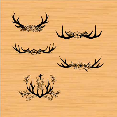 Collection of black beautiful images of deer antlers