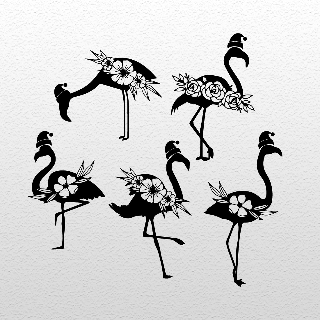 Collection of black wonderful flamingo images