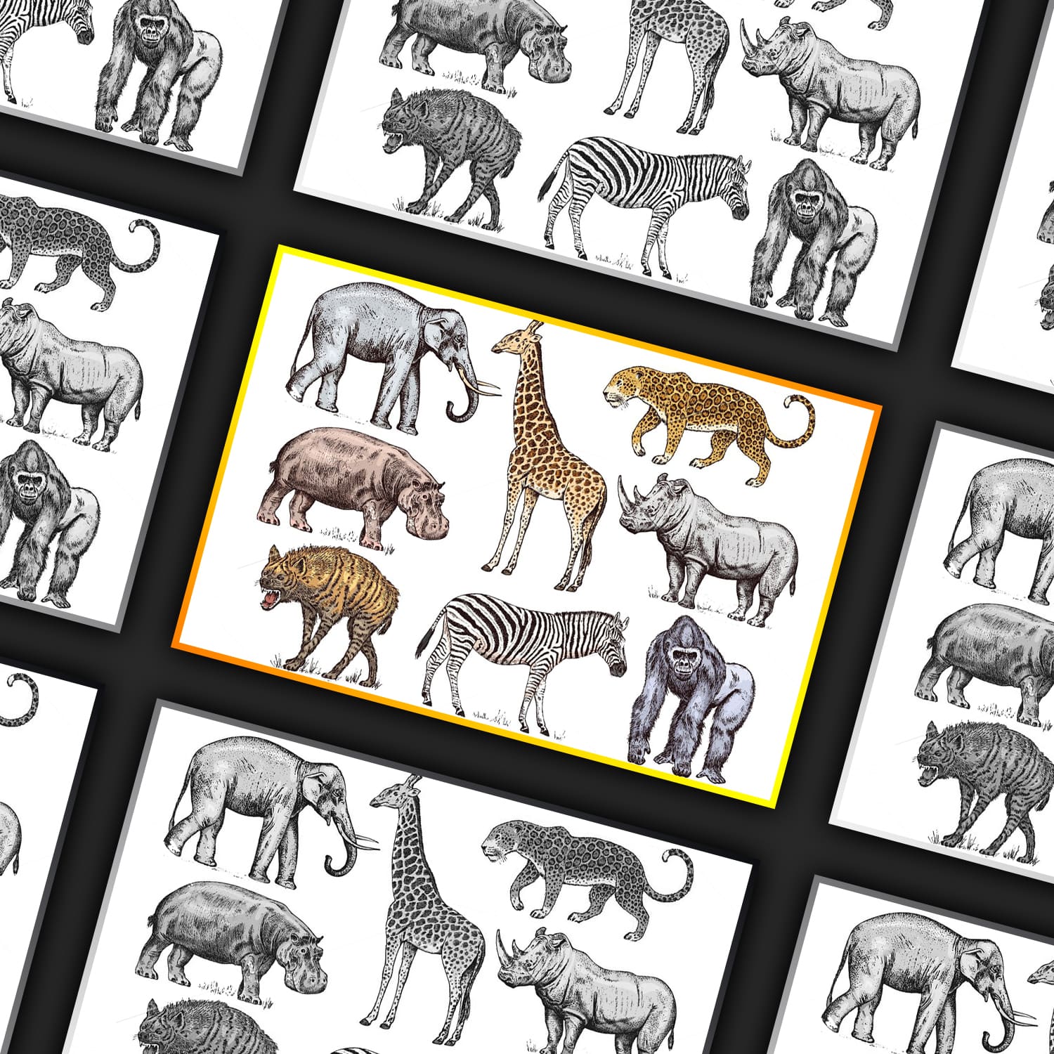 Set of African Animals Cover.