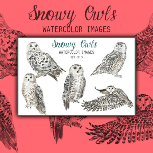 Watercolor Snowy Owls Clipart.
