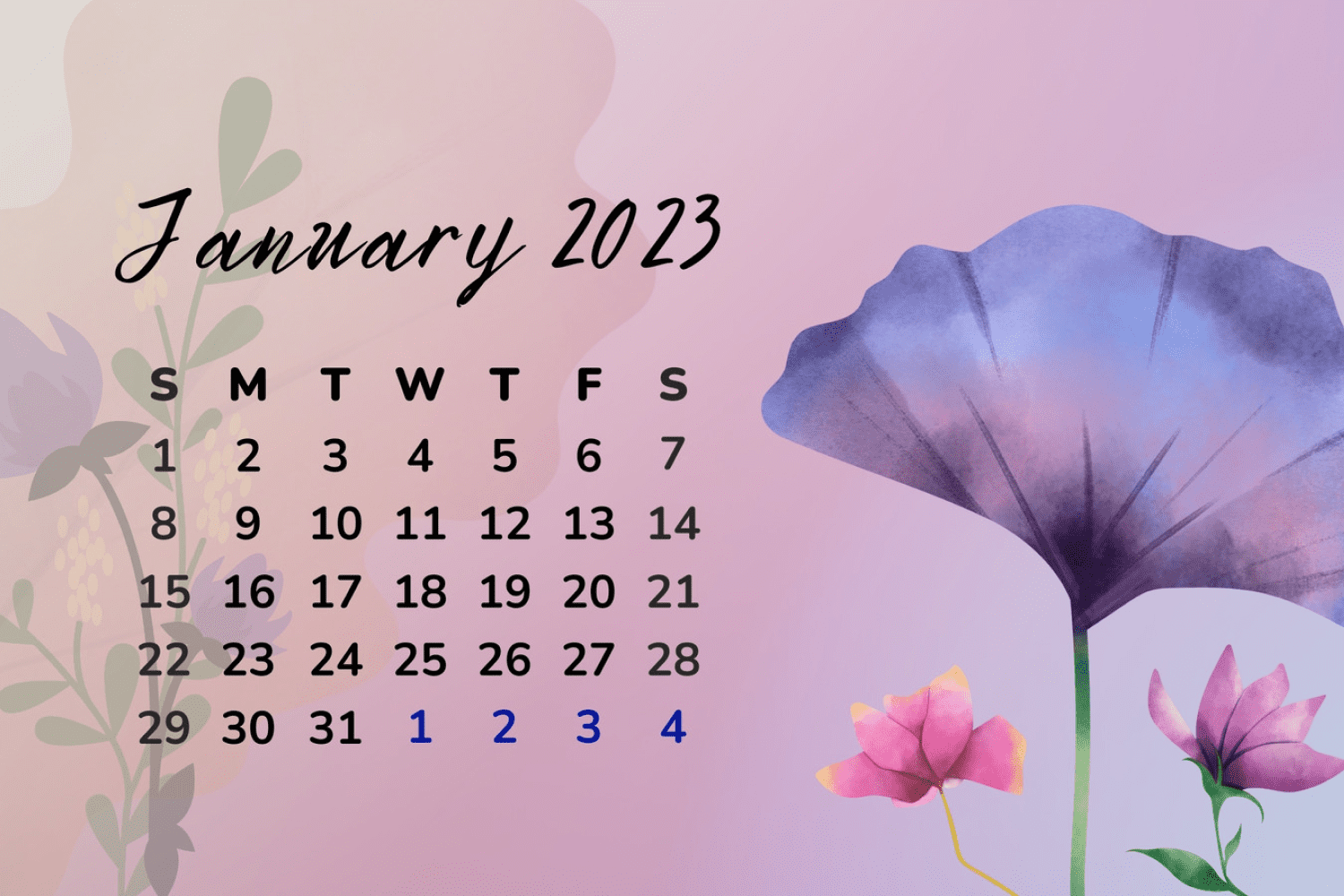 Calendar for January with a pink and purple color palette.