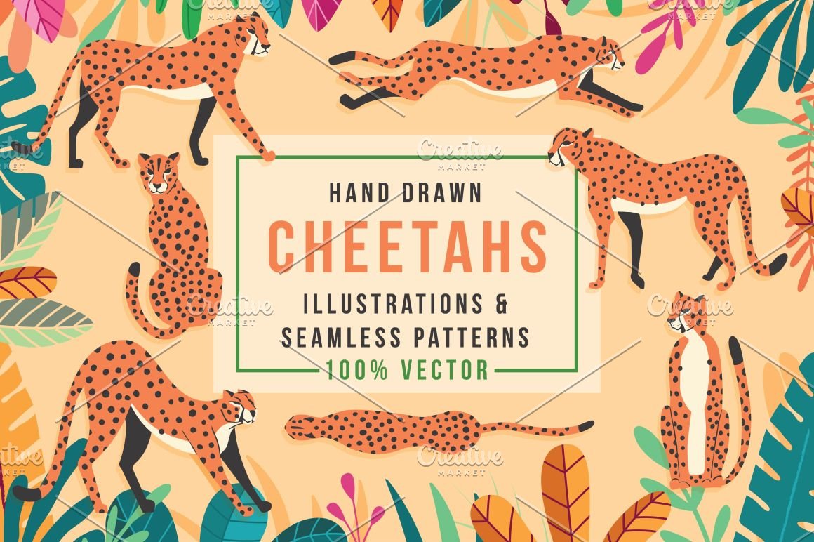 Orange lettering "Cheetahs" and different illustrations of leopard on a peach background.