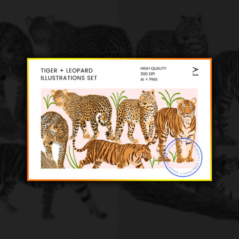 Tiger & Leopard Vector Illustrations.