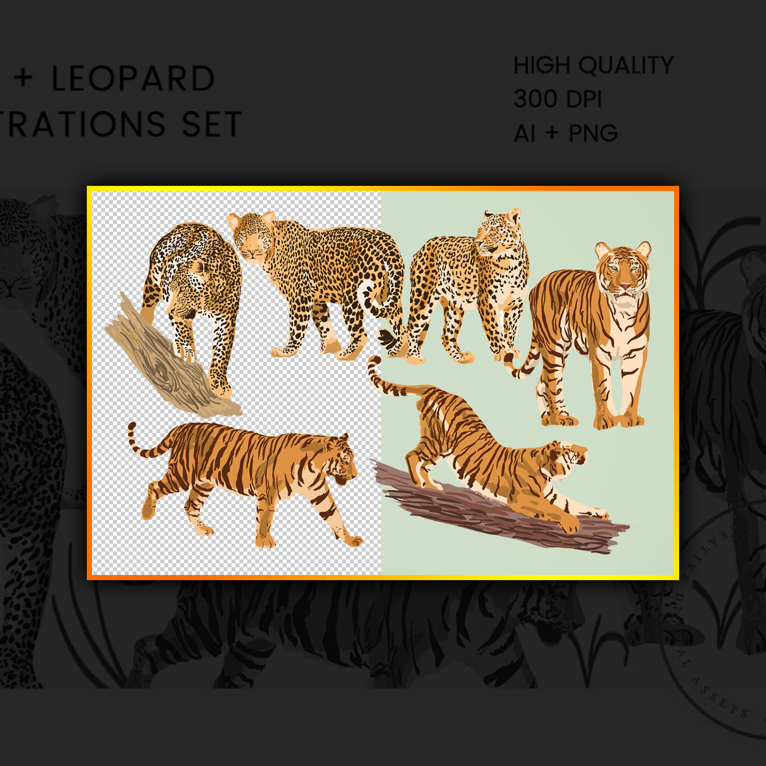 Tiger & Leopard Vector Illustrations cover.