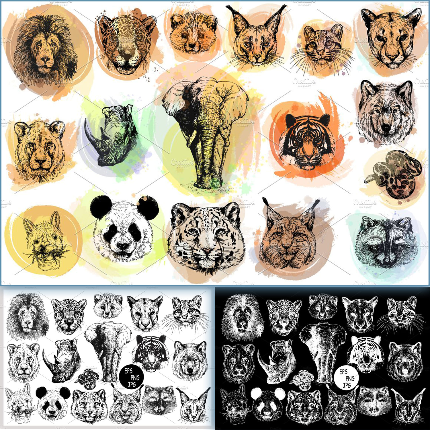 Animal Faces.
