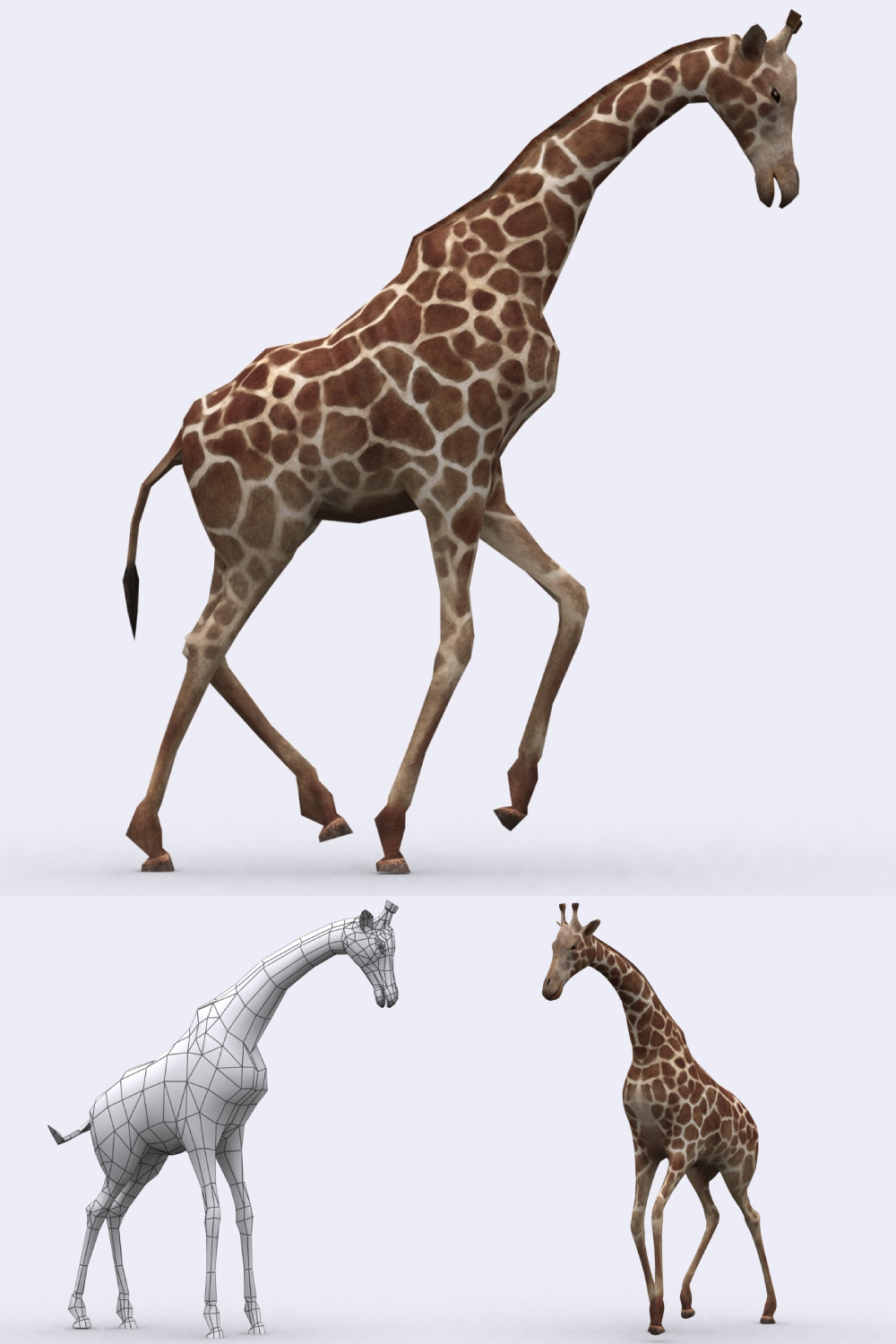 3Drt - Safari animals - Giraffe - Pinterest.