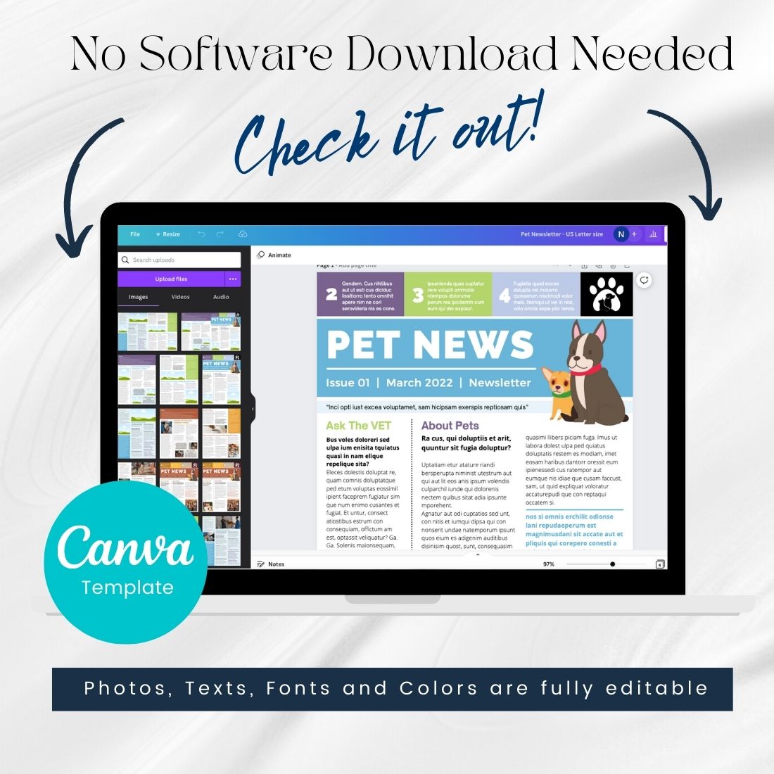 Pet Care Newsletter Canva Template preview image.