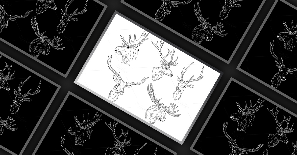 browning deer head drawings