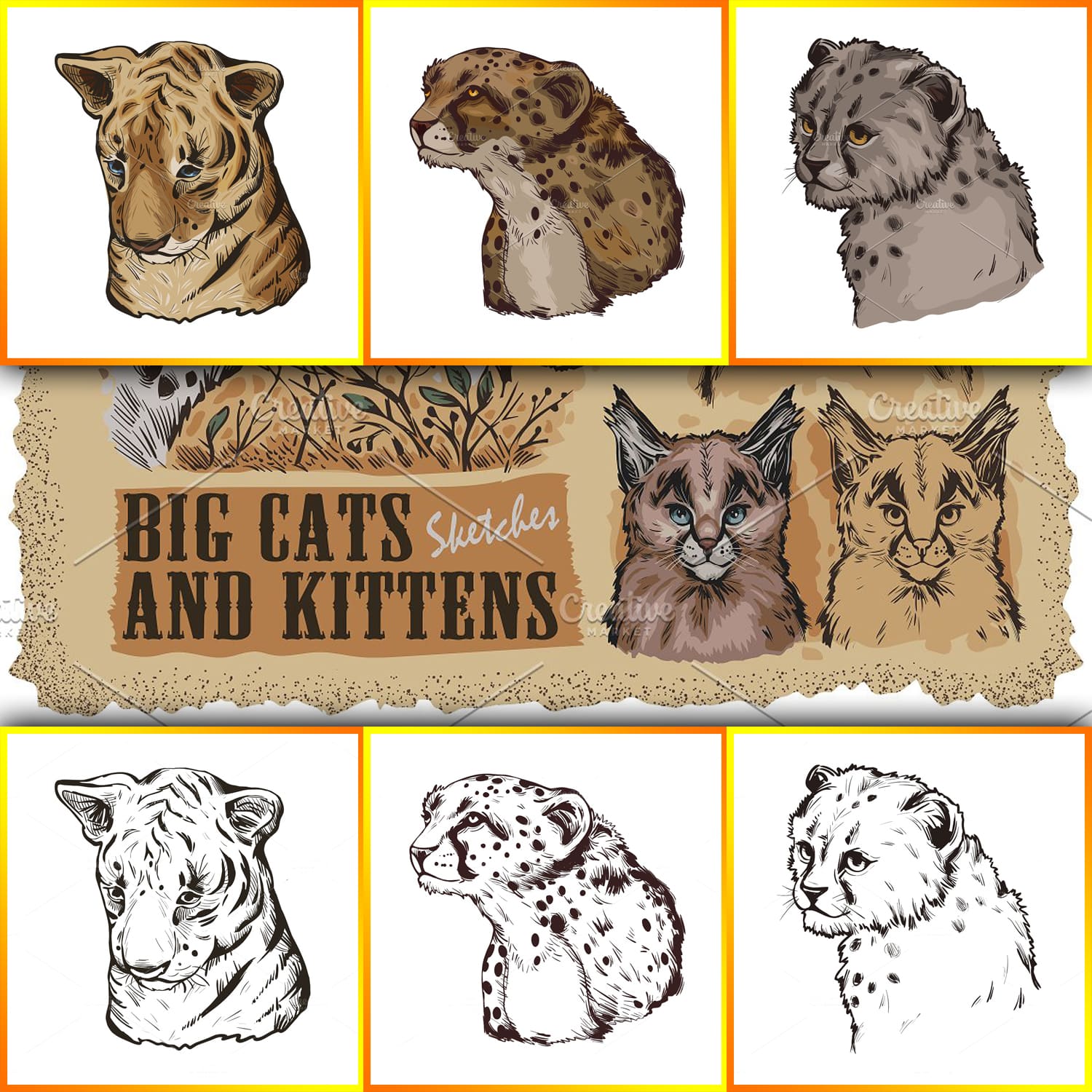 Big Cats. 30 Wild Animals 15 Species – MasterBundles