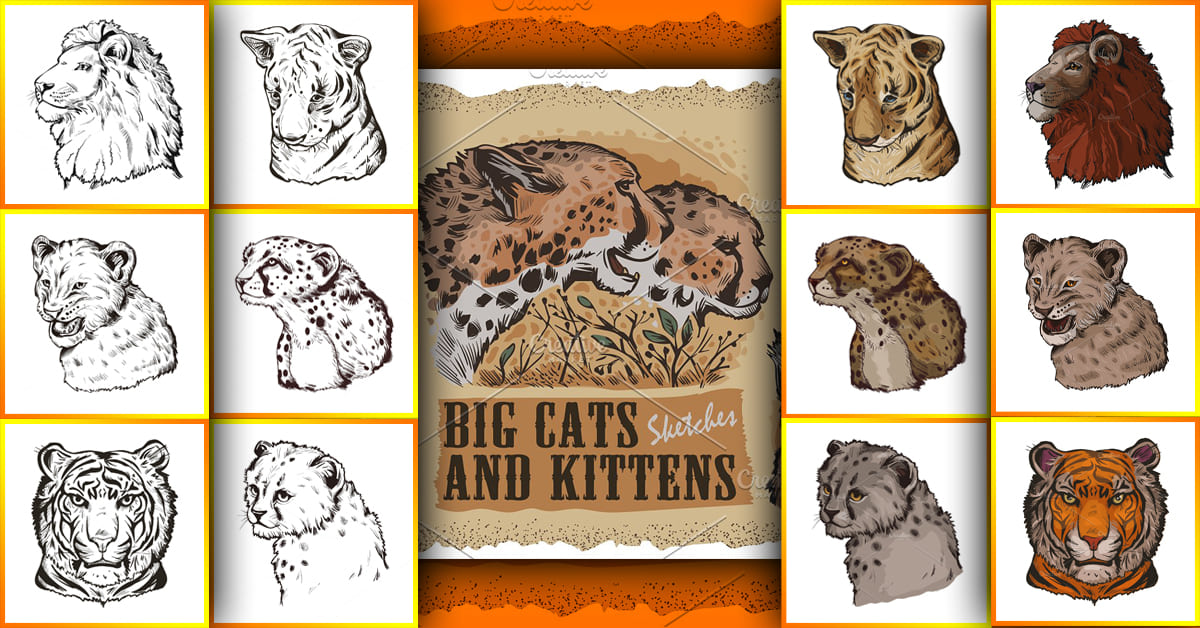 Big Cats. 30 Wild Animals 15 Species – MasterBundles