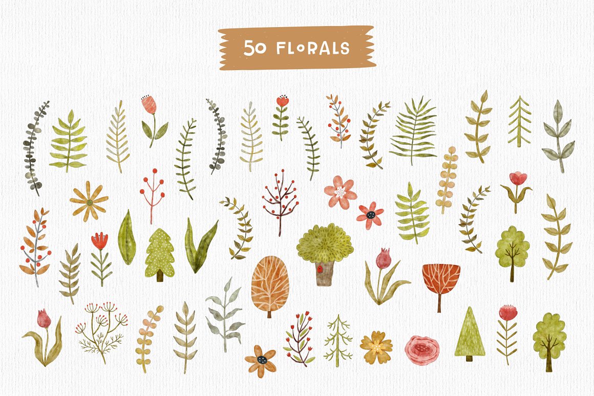 Bundle of 50 different floral illustrations on a gray background.