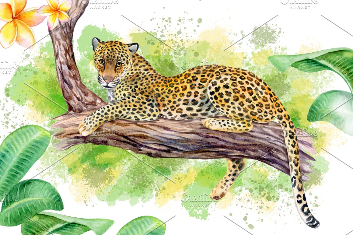Cute leopard on a branch.