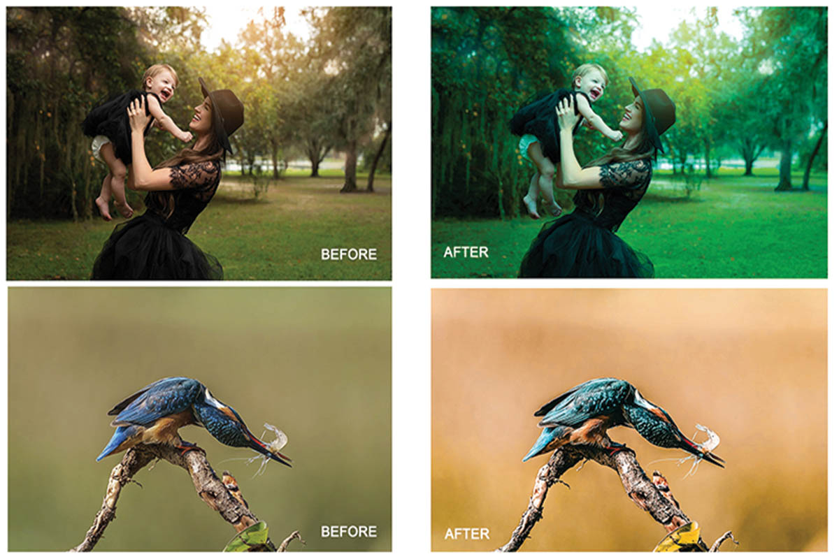 Four photos options with people and insects.