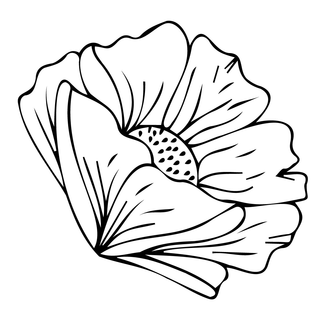 Outline poppy illustration.
