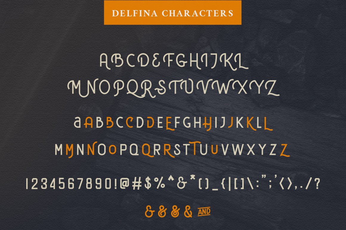 Delfina Modern Vintage Font preview image.