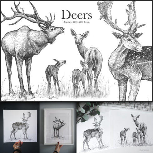 Deers.