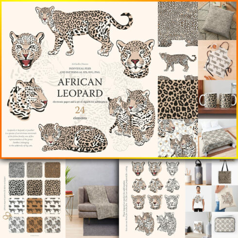 African leopard.