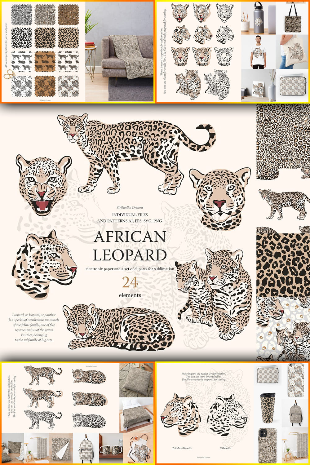 5454465 african leopard pinterest 1000 1500 542