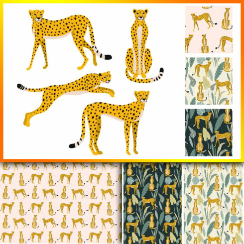 Collection Of Leopards And Patterns.