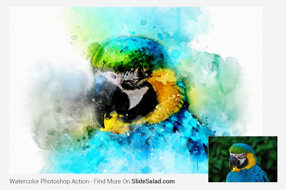 Watercolor Photoshop Action - parrot painted image.