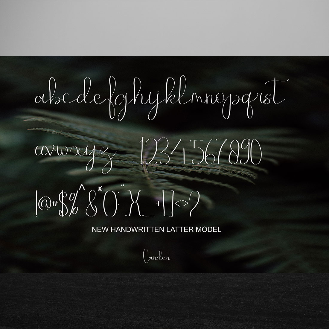 Aldenia Adnan Script Signature Font alphabet., punctuation and numbers preview.