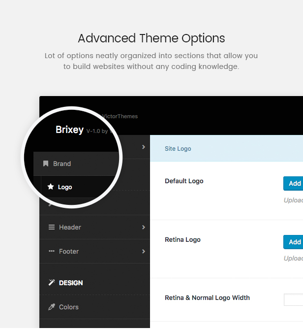 Advanced theme options on a gray background.