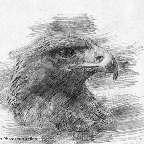 Pencil Sketch Art Photoshop Action 