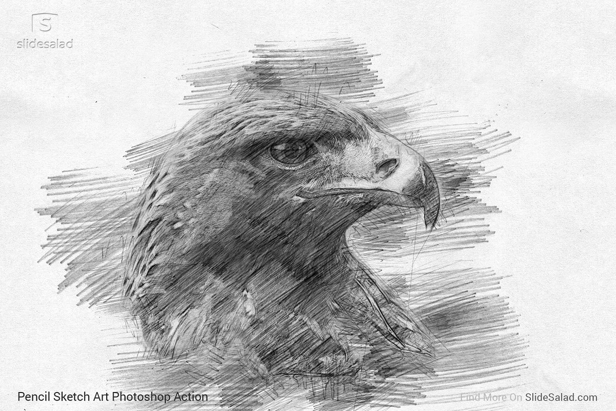 Pencil Sketch Art Photoshop Action - eagle example.