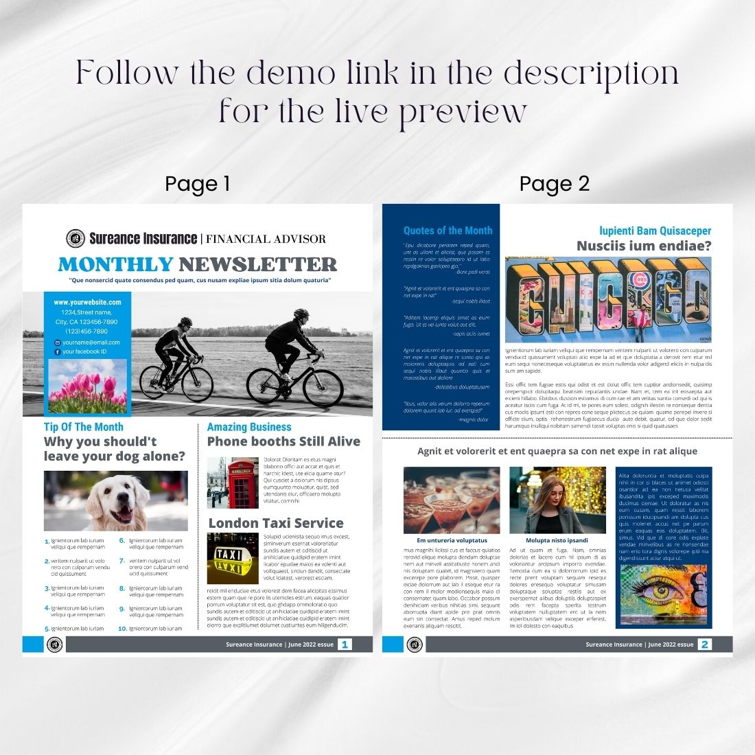 Financial Newsletter Canva Template preview image.