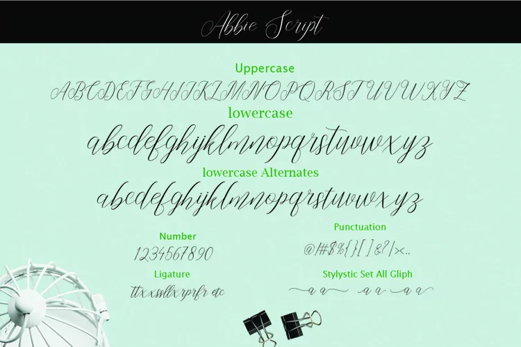 A set of uppercase, lowercase, alternates, numbers, ligature, punctuation and stylistic set all gliph.