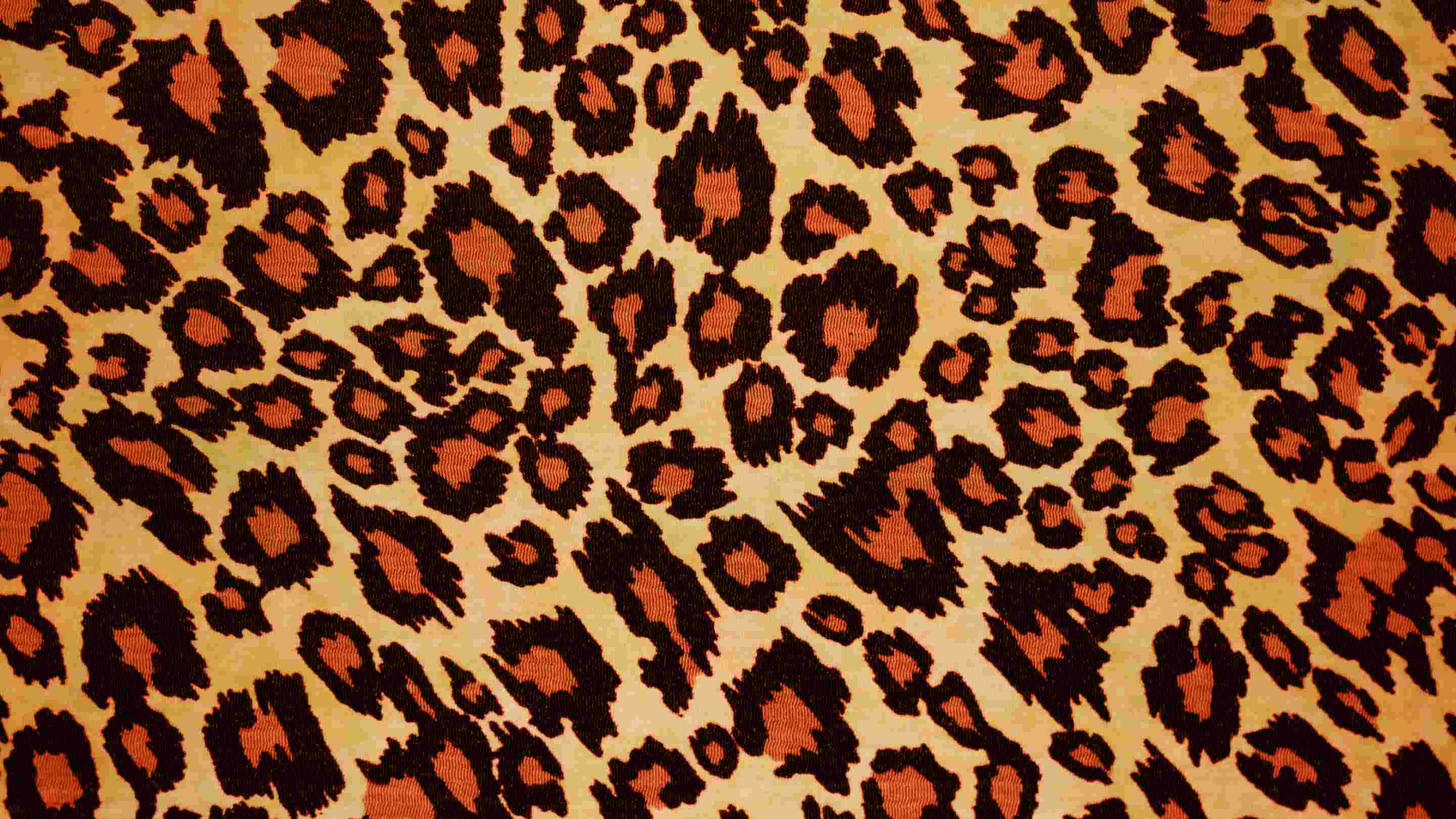 Wild leopard pattern.