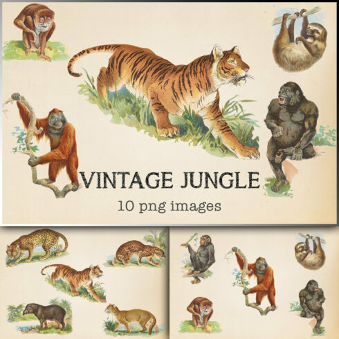 Vintage Jungle Animals.