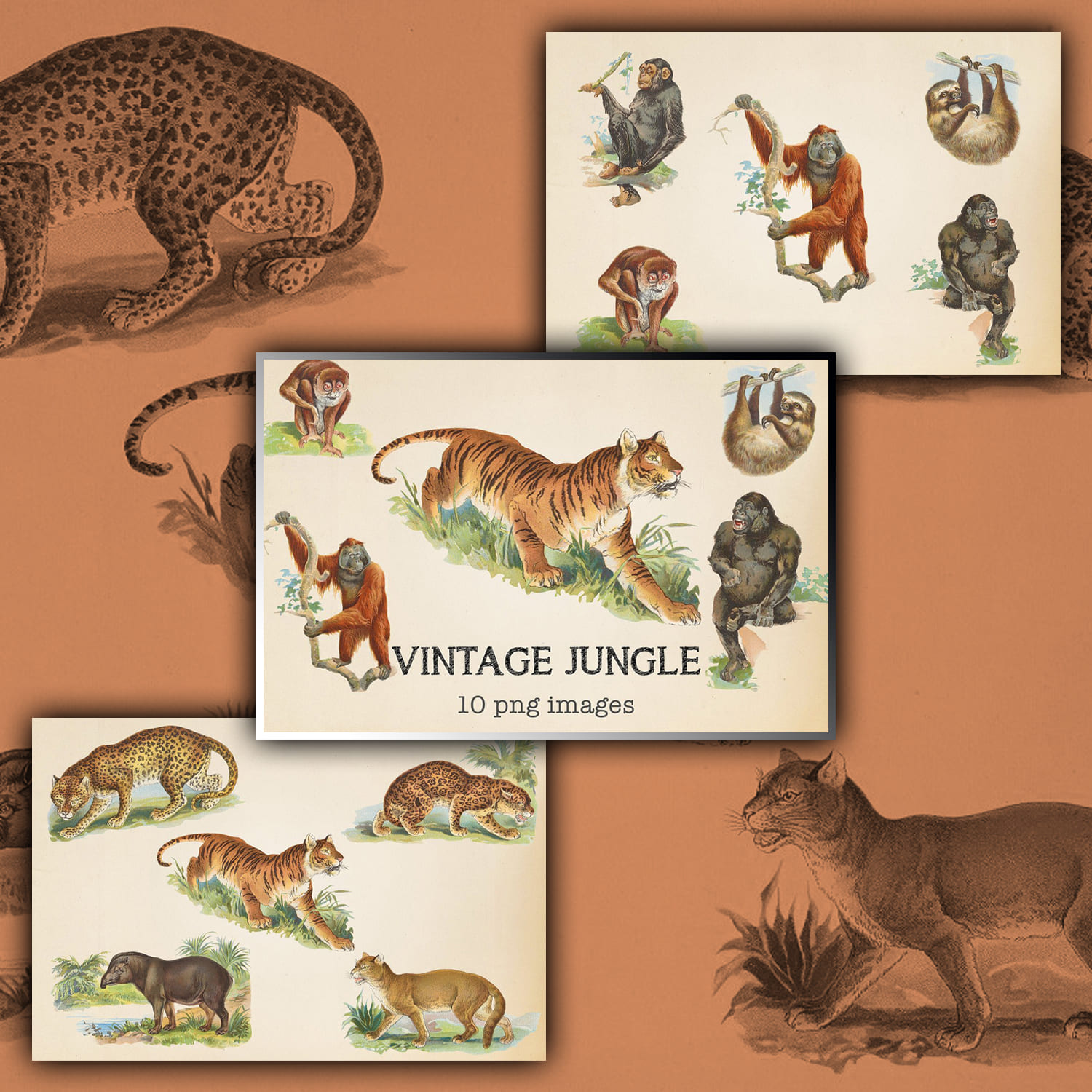 Vintage Jungle Animals cover.