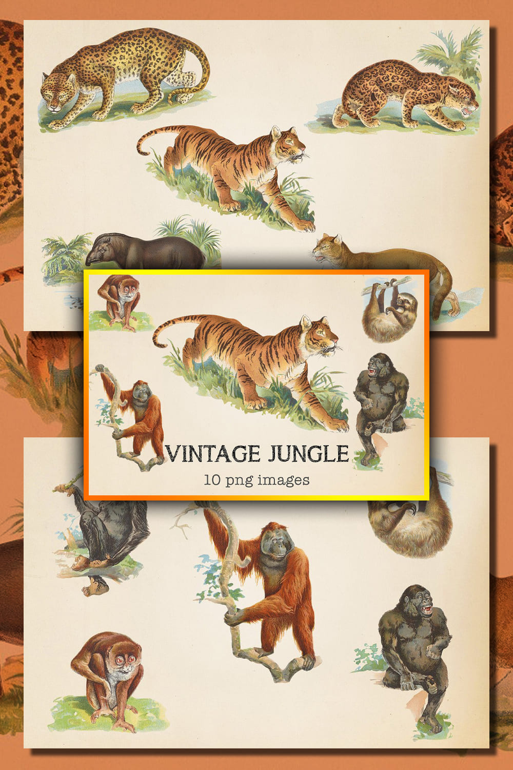 7494097 vintage jungle animals pinterest 1000 1500 43