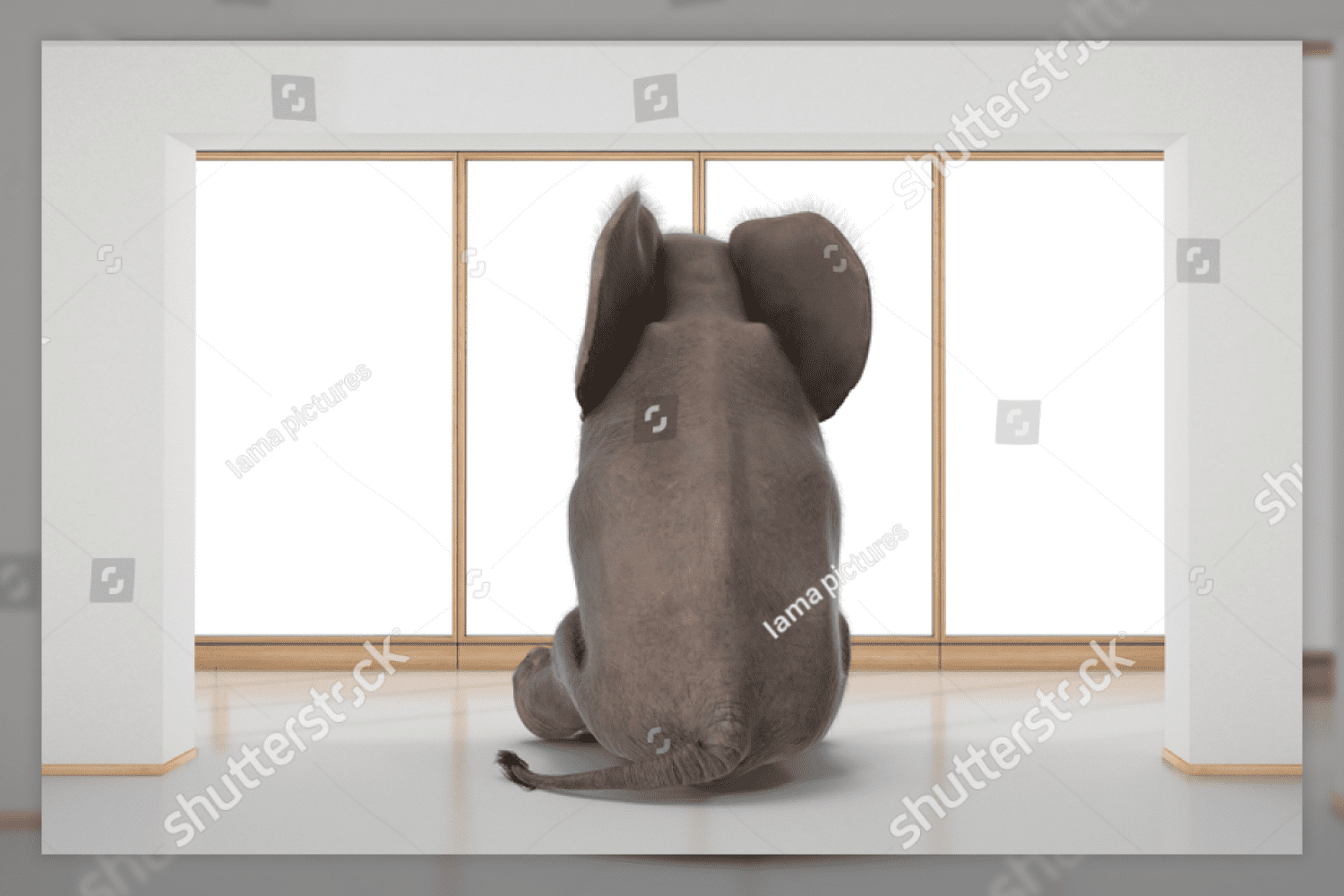78 elephant sitting in minimalist room 176