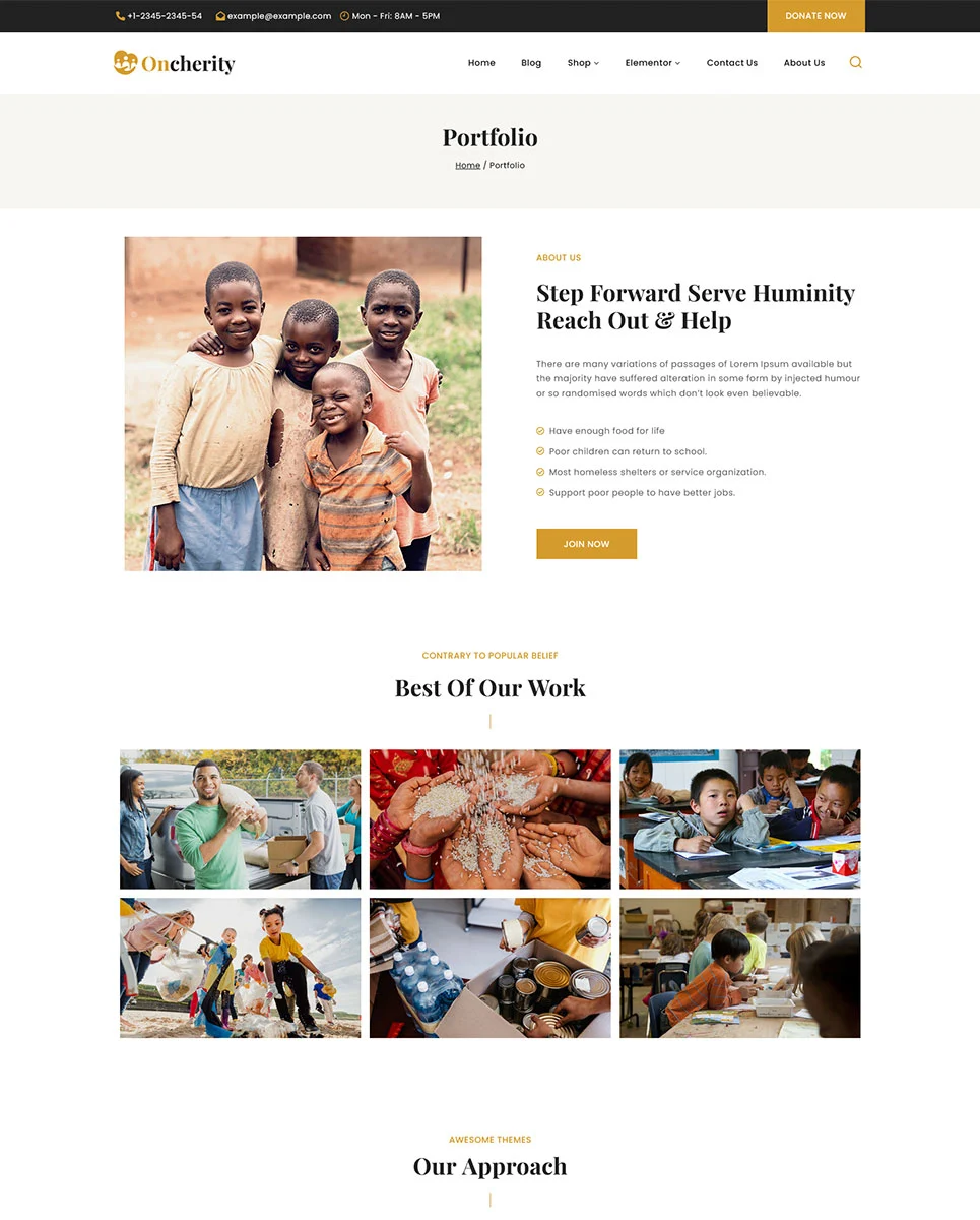 Beautiful portfolio page of oncherity charity, donation, nonprofit elementr.