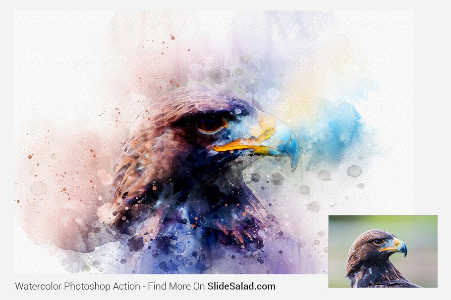 Watercolor Photoshop Action - eagle painted image.