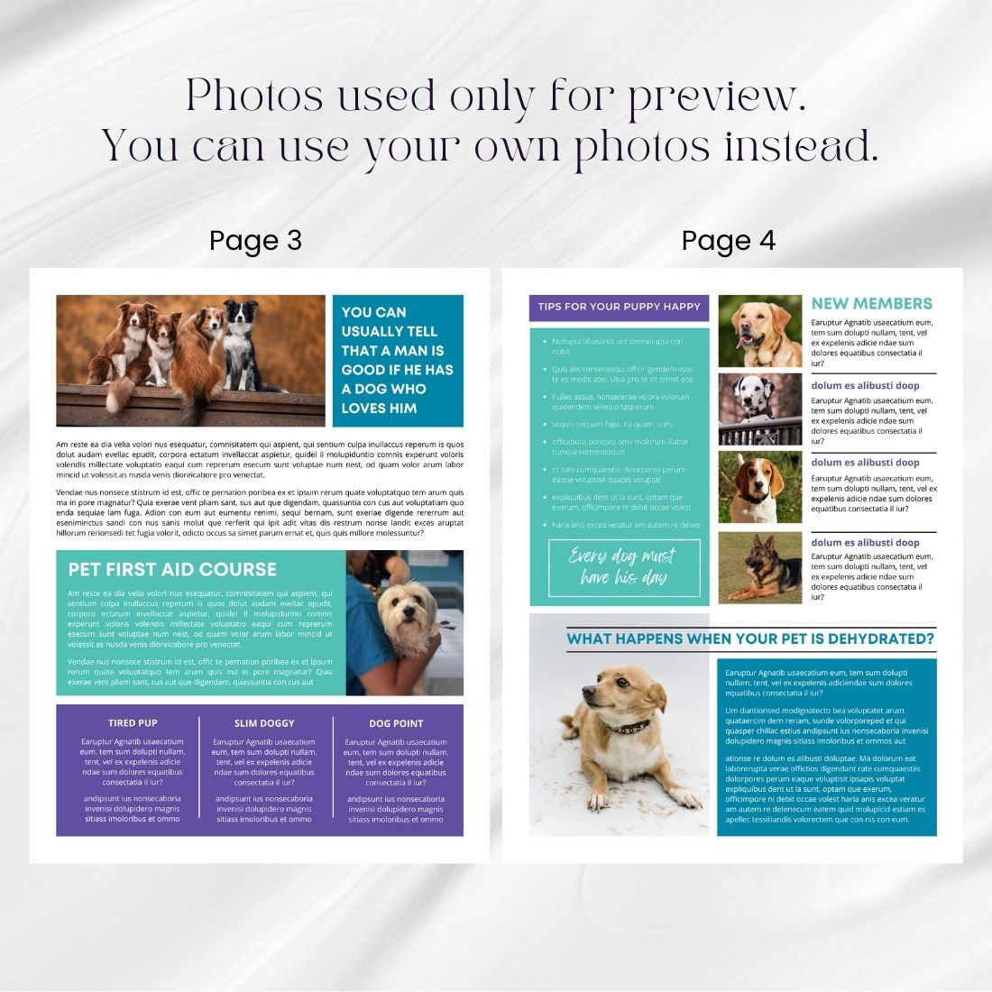 Pets Newsletter Canva Template preview image.