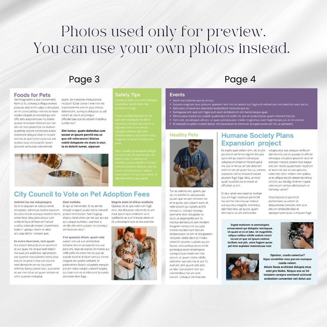 Newsletter Pet Care Canva Template preview image.