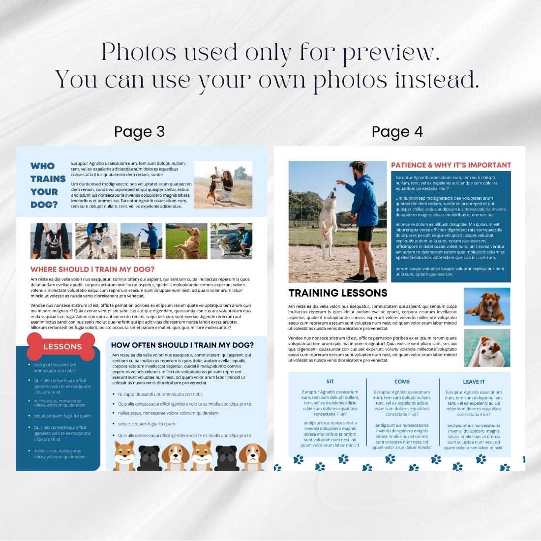 Canva Dog Pets Newsletter Template review image.