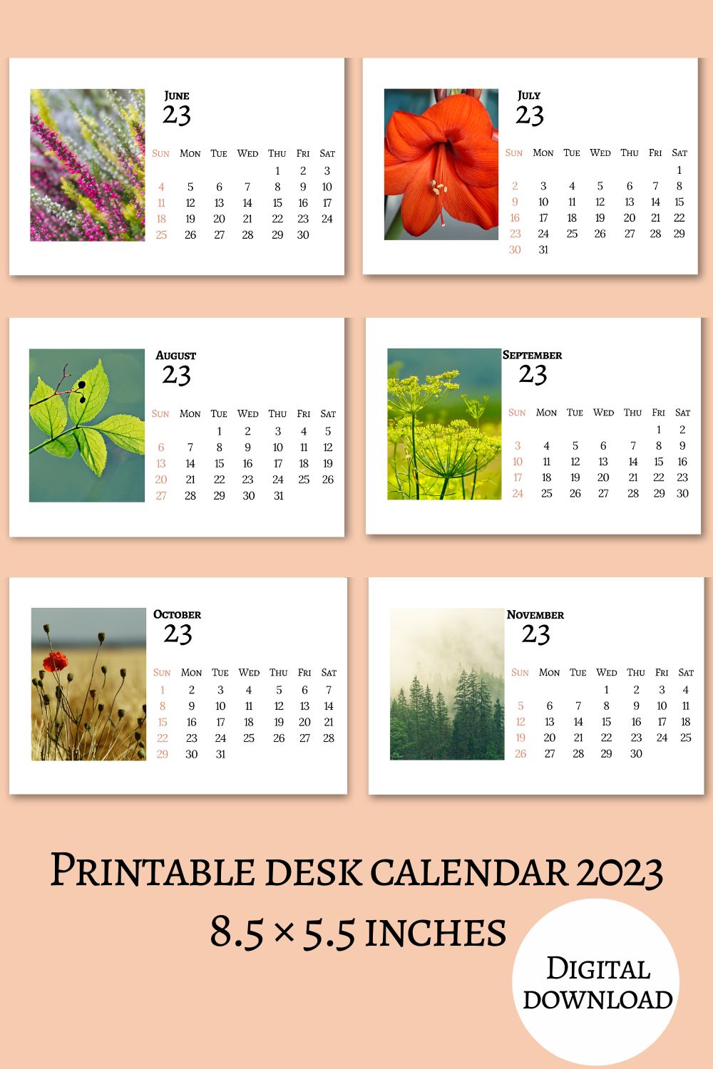 Desk Calendar Printable Horizontal pinterest image.