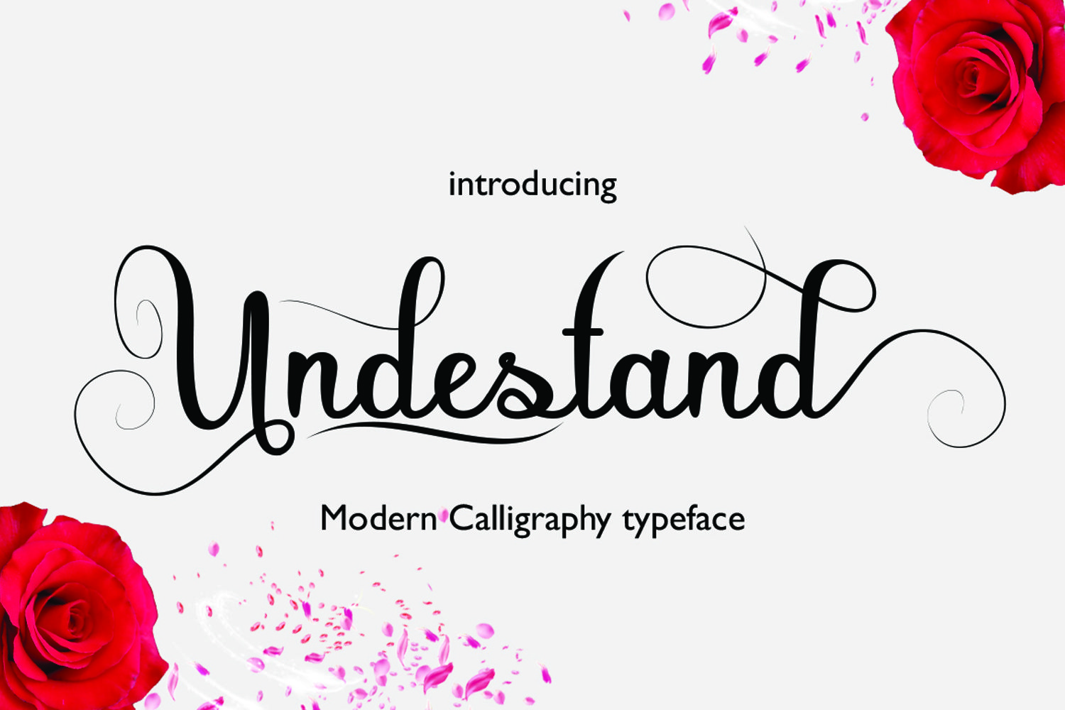 Cover image of Undestand font.