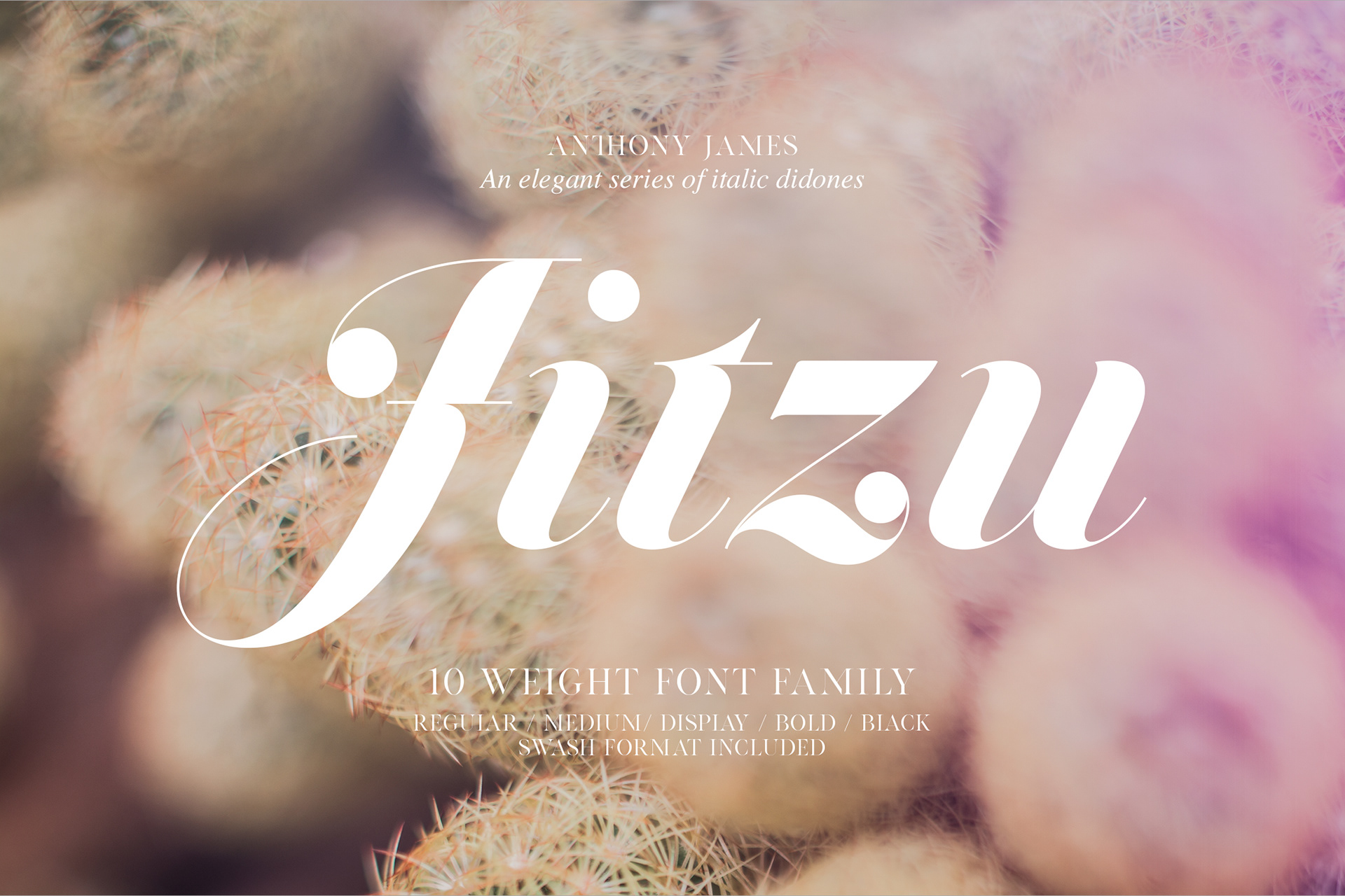 Jitzu Family | Font.