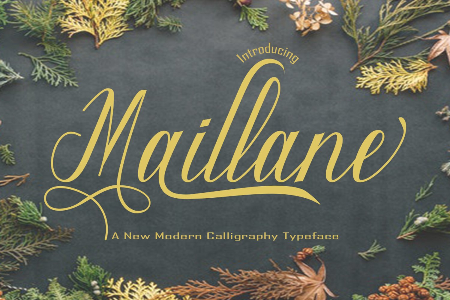 Cover image of Maillane font.