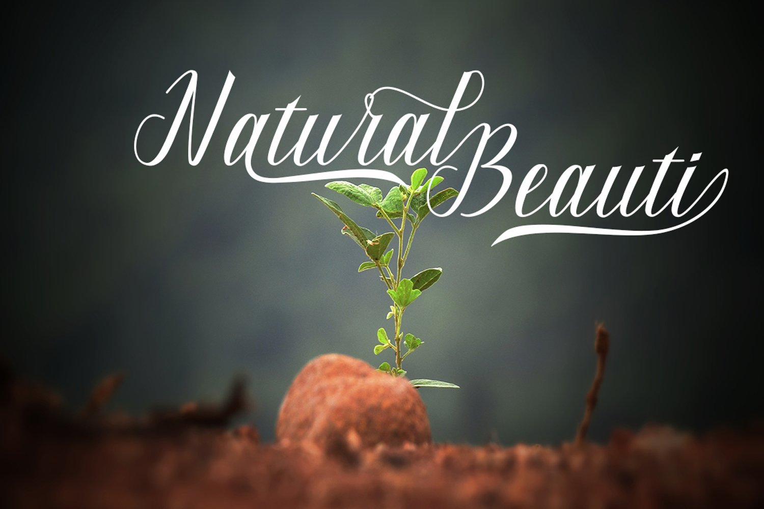 Describe the natural beauty using this font.