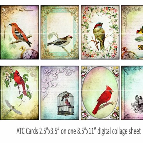 Birds Junk Journal Printable ATC cards Scrapbooking.
