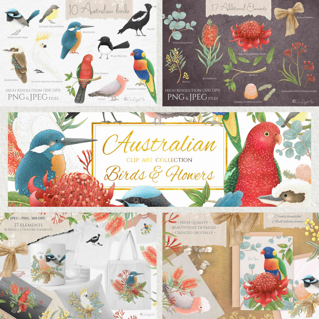 Amazing Australian Birds and Flowers Collection Clipart Design cover image.
