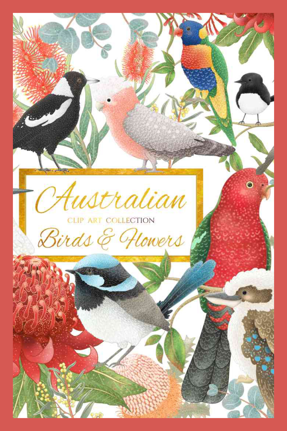Australian Birds and Flowers Collection Clipart Design pinterest image.