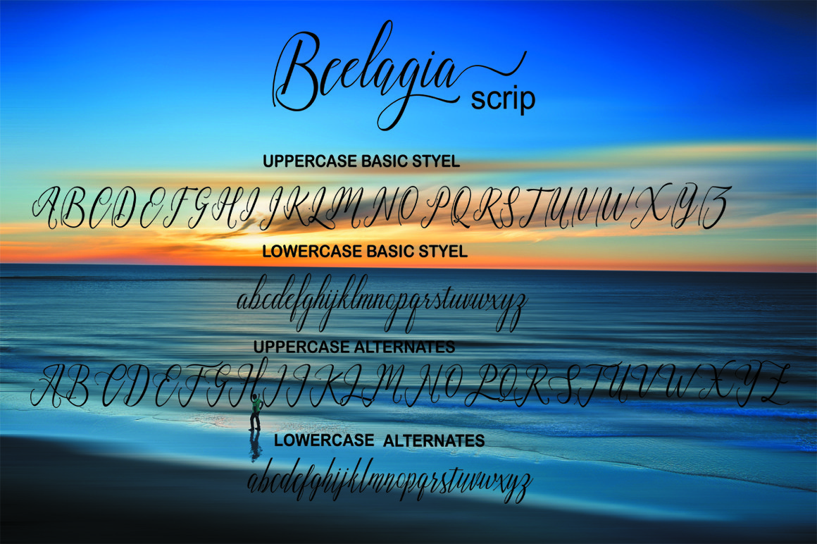 Image with symbols and letters of the elegant Beelagia font.